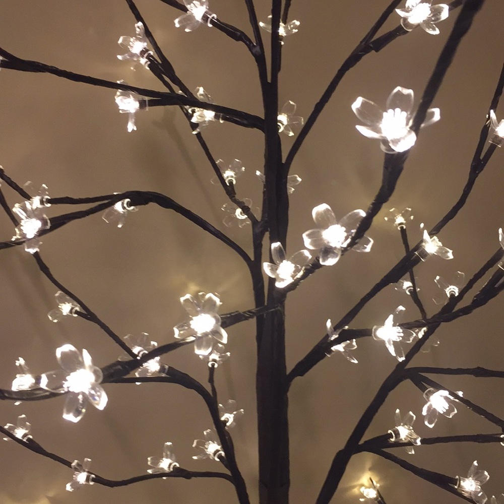 Meet your Posher, Lucia